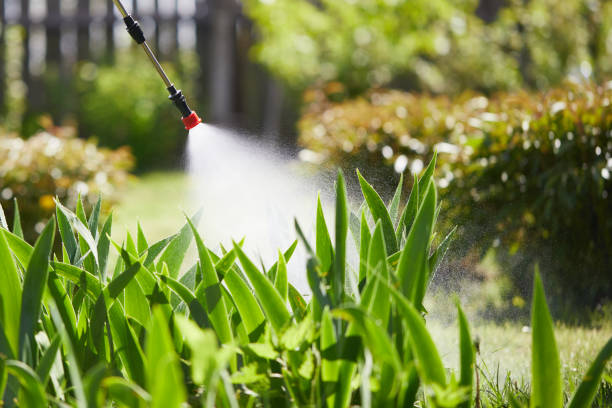 Tamper-Resistant Bait Stations for Rodents in Central Gardens