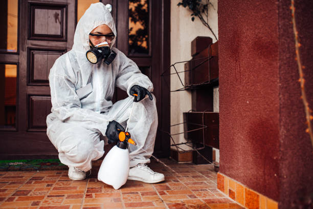 Attic and Crawl Space Rodent Treatment in Central Gardens