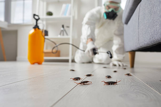 Commercial Rodent Management in Central Gardens